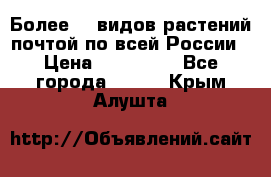 Более200 видов растений почтой по всей России › Цена ­ 100-500 - Все города  »    . Крым,Алушта